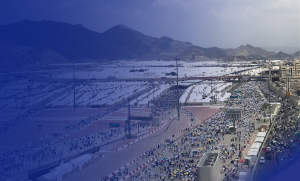 HAJJ 2021 FIELD OPTIMIZATION